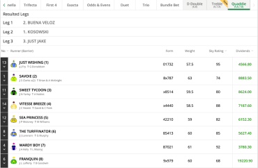 Screenshot of multi-leg approximate dividends at tab.com.au