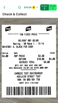 Example of TAB retail ticket being scanned by phone camera.