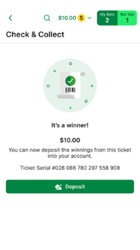 Screenshot of 'winning ticket' screen.