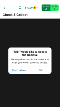 Screenshot of the 'allow camera access' notification.