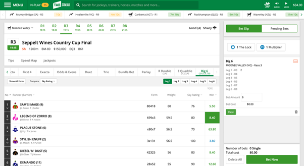 Screenshot of tab.com.au race page with 'Big 6' selected as the bet type and example selections made.