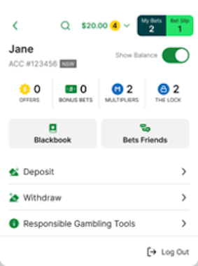Image fo TAB app expanded header with 'Deposit' option shown.