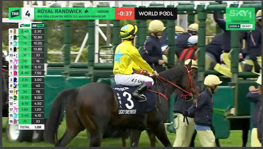 Example SKY Channel screen showing the ONE POOL logo above each runner's odds and the WORLD POOL logo at the top of the screen